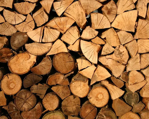 Firewood FAQs: What you need to know