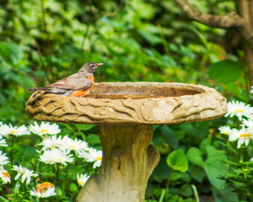 garden decor with a bird bath