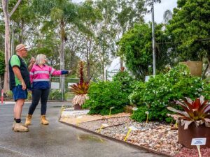 Huge selection on plants and other landscaping supplies in coffs harbour