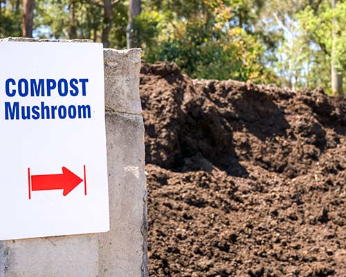premium compost for gardening