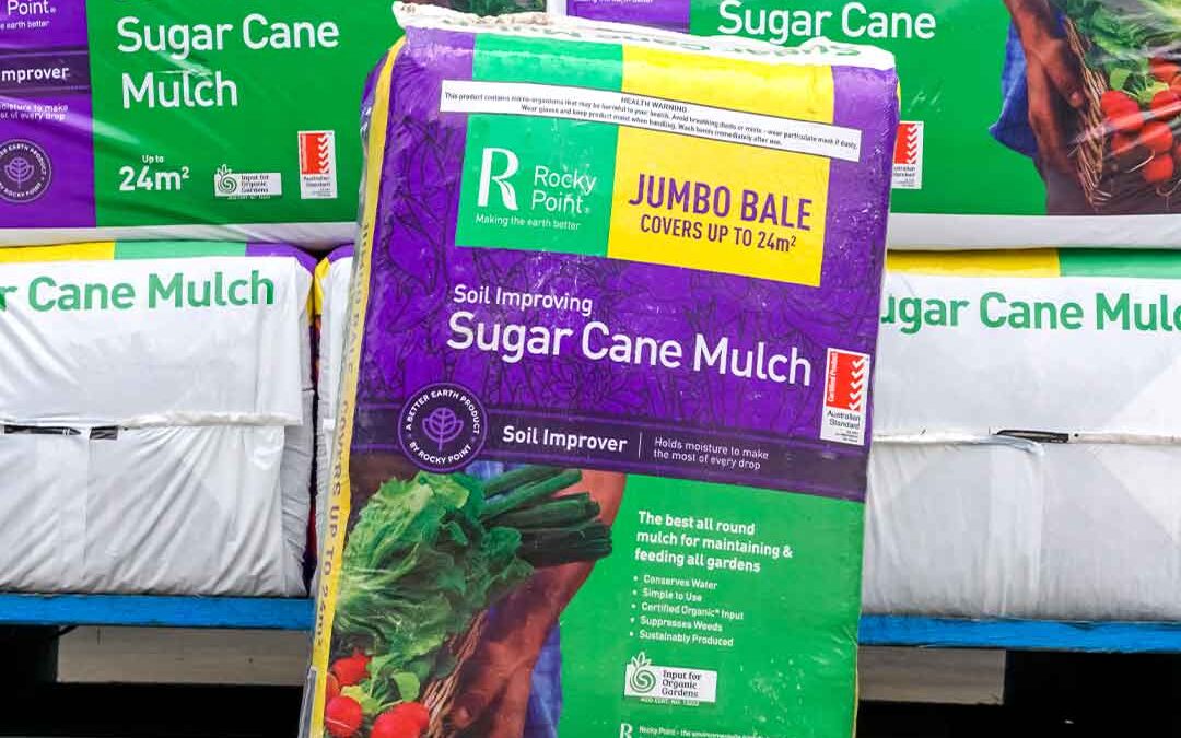 What is sugar cane mulch?